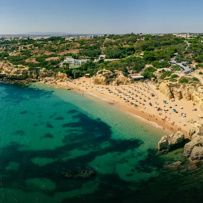 shintours-thumbnail for article copy-new